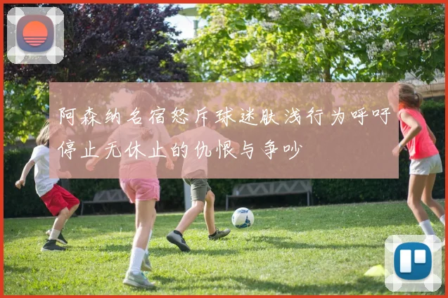 阿森纳名宿怒斥球迷肤浅行为呼吁停止无休止的仇恨与争吵