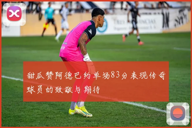 甜瓜赞阿德巴约单场83分表现传奇球员的致敬与期待